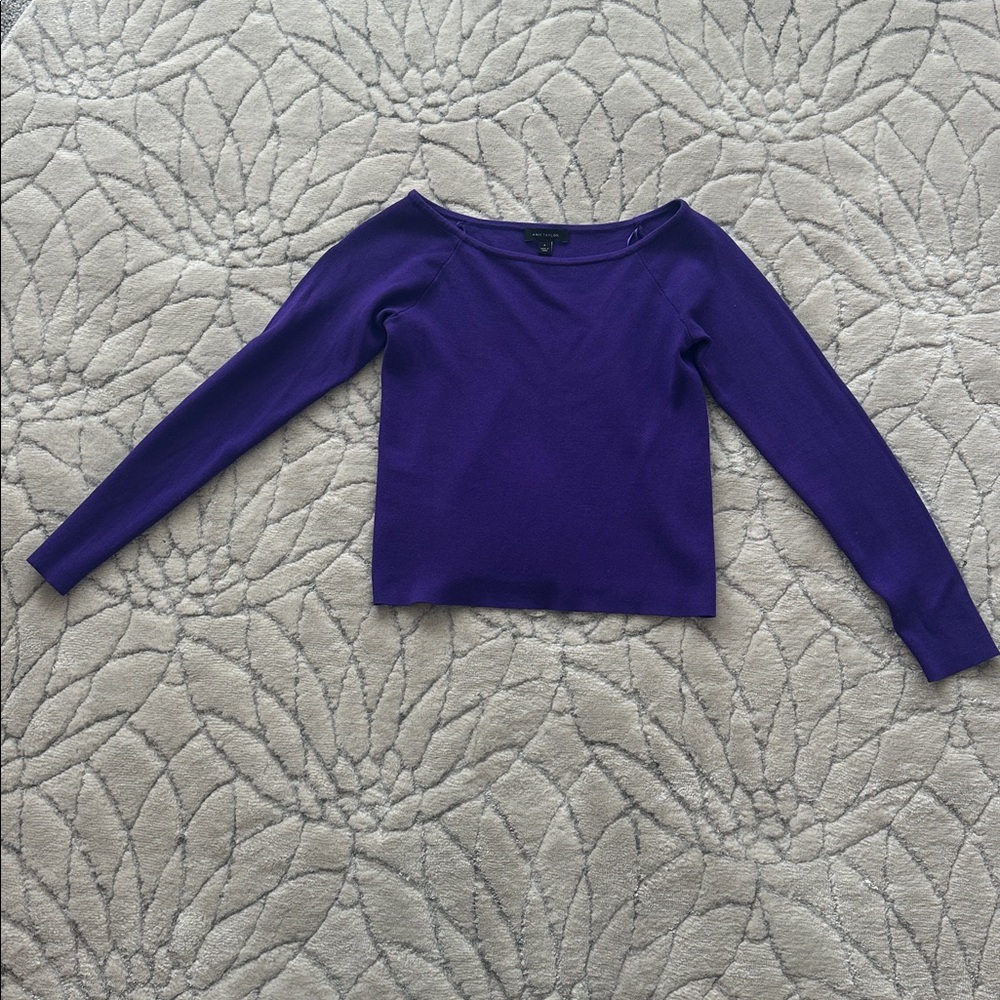 Ann Taylor Deep Purple Long Sleeve Top